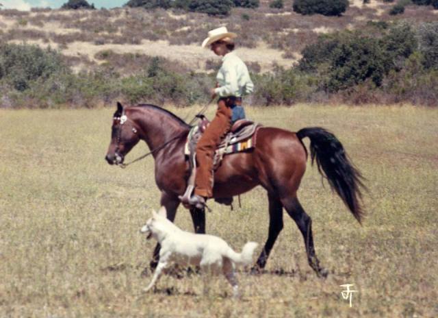 SheilaVarianandBay-Abi