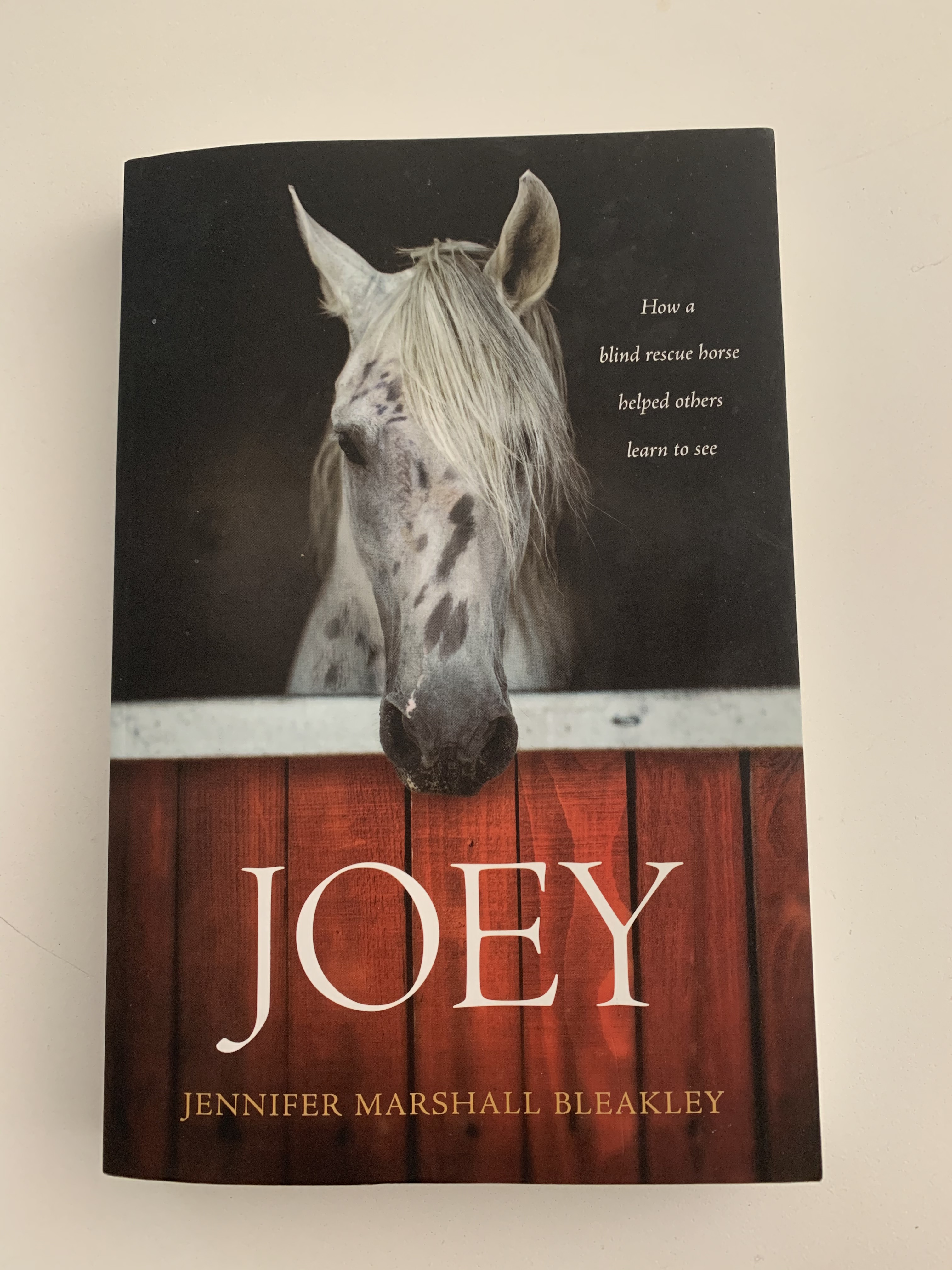Joey Book Cover