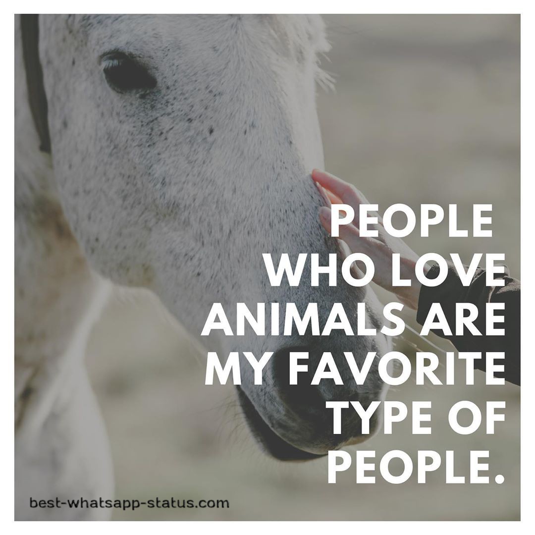 animal lovers pic